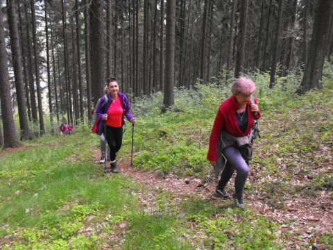 Wycieczka po Wzgórzach Włodzickich s34 - PTTK Strzelin