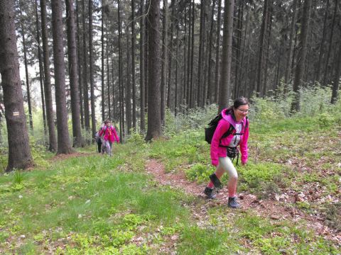 Wycieczka po Wzgórzach Włodzickich s36 - PTTK Strzelin