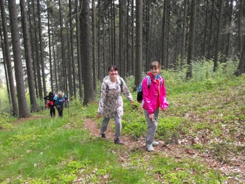 Wycieczka po Wzgórzach Włodzickich s37 - PTTK Strzelin