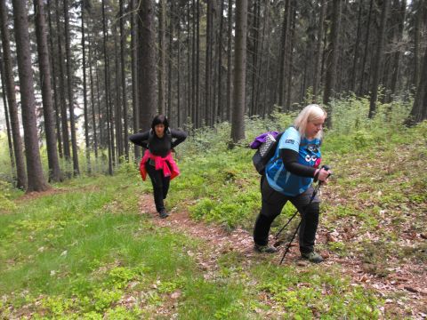 Wycieczka po Wzgórzach Włodzickich s38 - PTTK Strzelin