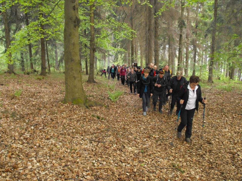 Wycieczka po Wzgórzach Włodzickich s003 - PTTK Strzelin