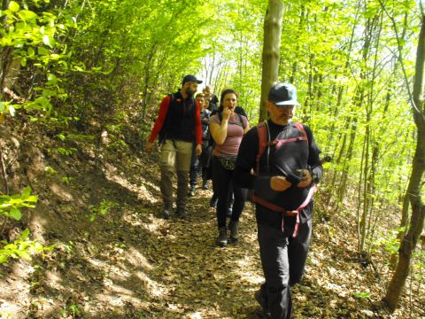 Wycieczka po Wzgórzach Włodzickich s41 - PTTK Strzelin