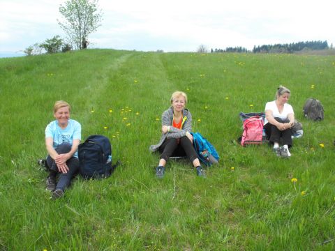 Wycieczka po Wzgórzach Włodzickich s71 - PTTK Strzelin