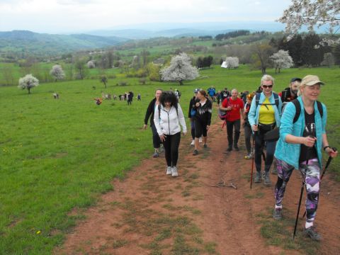 Wycieczka po Wzgórzach Włodzickich s78 - PTTK Strzelin