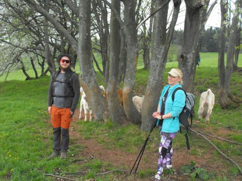 Wycieczka po Wzgórzach Włodzickich s79 - PTTK Strzelin