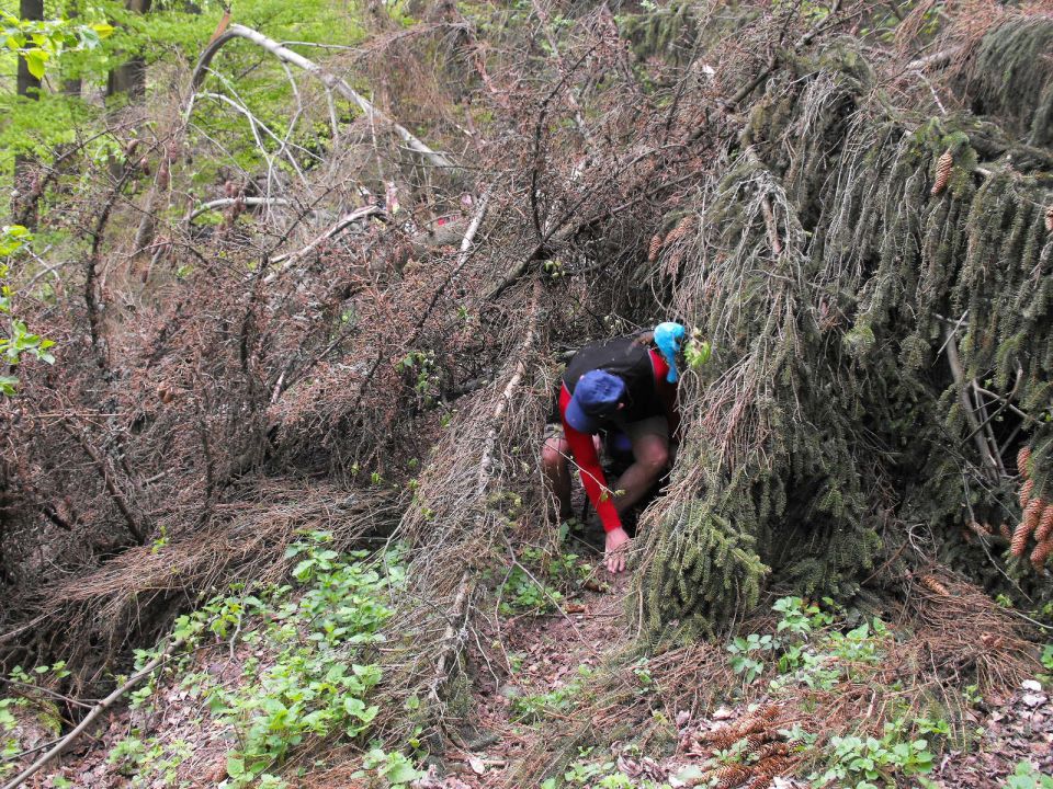Wycieczka po Wzgórzach Włodzickich s003 - PTTK Strzelin