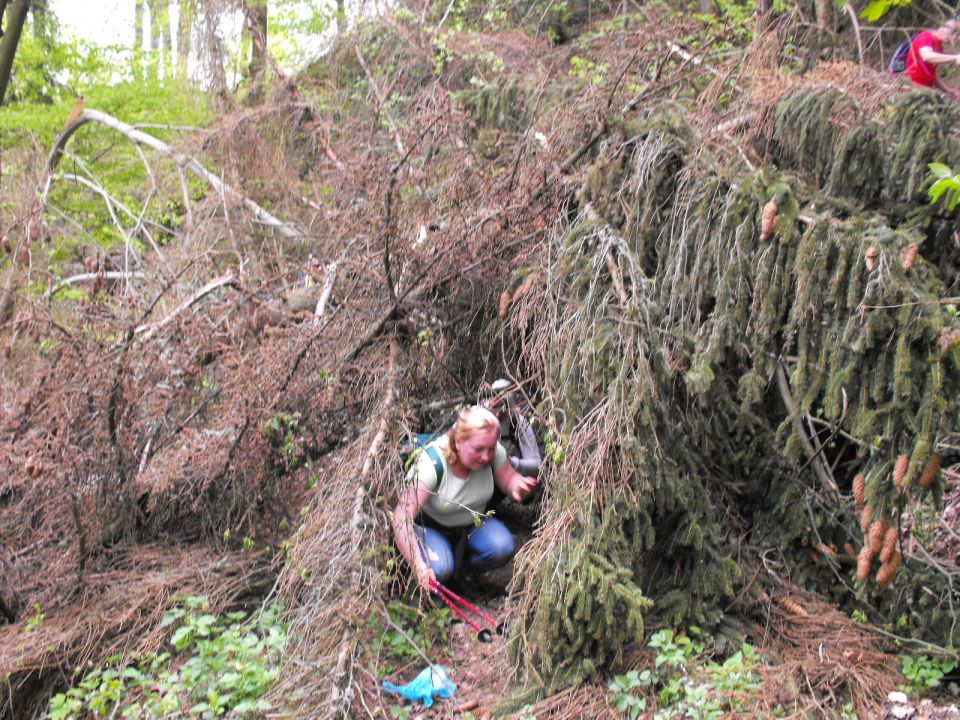 Wycieczka po Wzgórzach Włodzickich s003 - PTTK Strzelin
