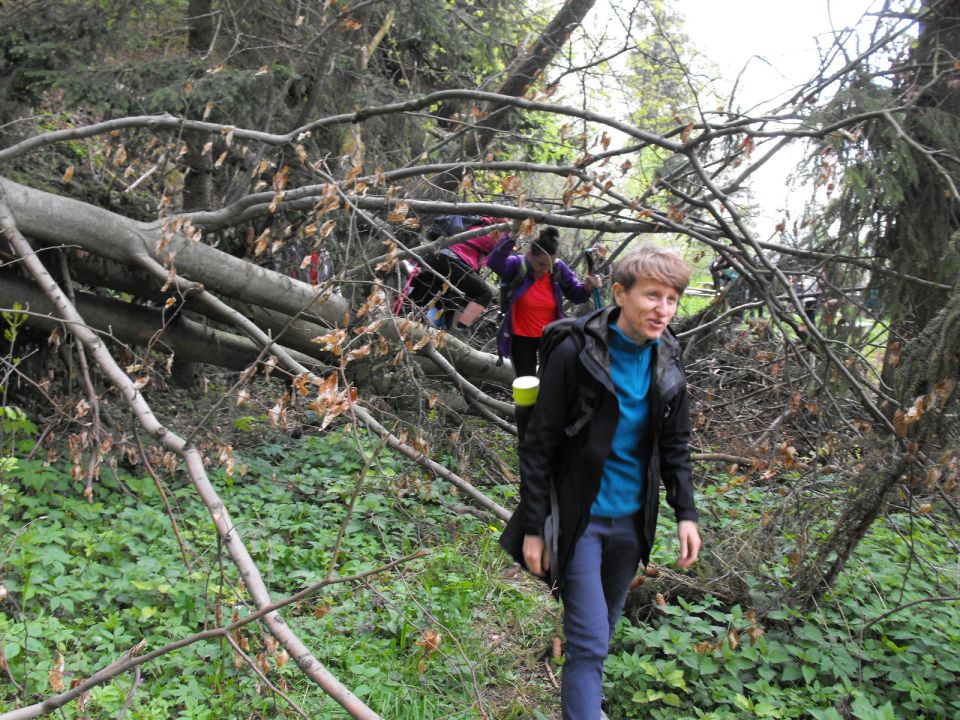 Wycieczka po Wzgórzach Włodzickich s003 - PTTK Strzelin