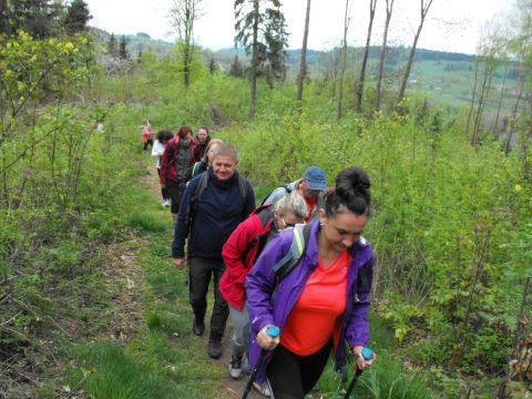 Wycieczka po Wzgórzach Włodzickich s96 - PTTK Strzelin