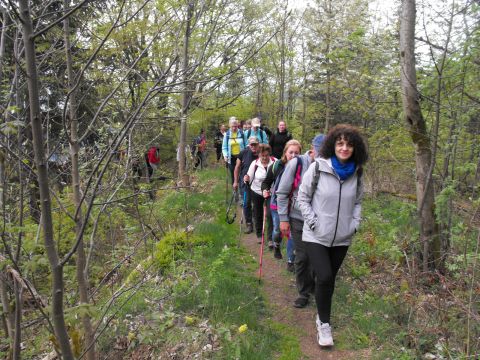 Wycieczka po Wzgórzach Włodzickich s107 - PTTK Strzelin