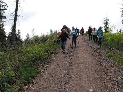 Wycieczka po Wzgórzach Włodzickich s123 - PTTK Strzelin