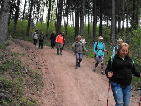 Wycieczka po Wzgórzach Włodzickich s124 - PTTK Strzelin