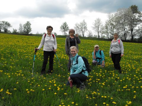 Wycieczka po Wzgórzach Włodzickich s125 - PTTK Strzelin
