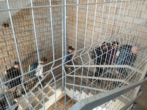 Wycieczka po Wzgórzach Ścinawskich s14 - PTTK Strzelin