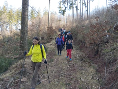 Wycieczka po Wzgórzach Ścinawskich s49 - PTTK Strzelin
