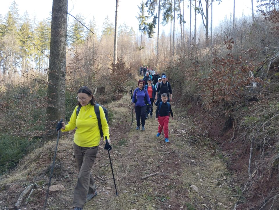 Wycieczka po Wzgórzach Ścinawski\ch s003 - PTTK Strzelin