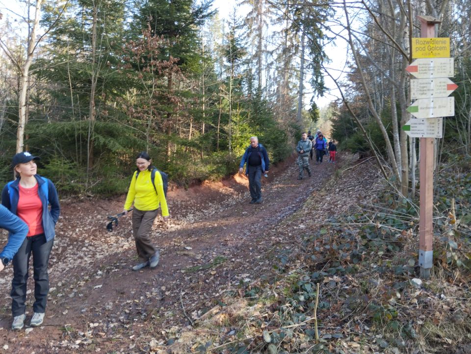 Wycieczka po Wzgórzach Ścinawski\ch s003 - PTTK Strzelin