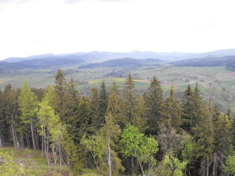 Włodzicka Góra - Wzgórza Włodzickie s2 - PTTK Strzelin