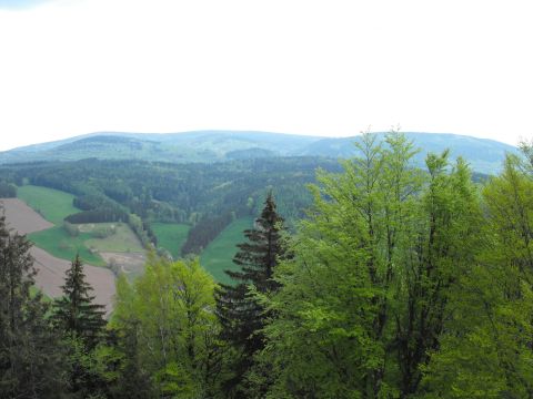 Włodzicka Góra - Wzgórza Włodzickie s5 - PTTK Strzelin