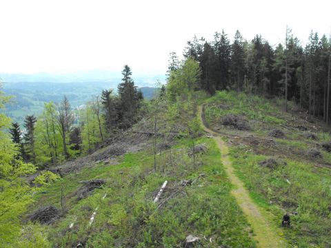 Włodzicka Góra - Wzgórza Włodzickie s7 - PTTK Strzelin