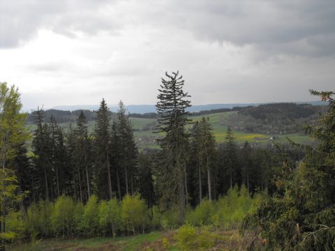 Włodzicka Góra - Wzgórza Włodzickie s9 - PTTK Strzelin