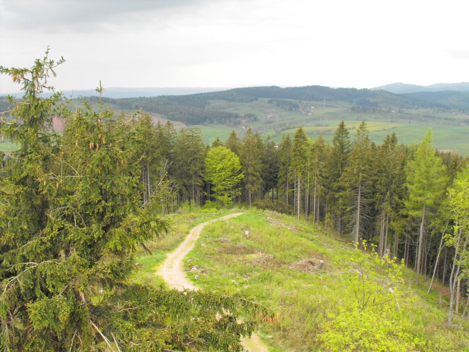 Włodzicka Góra - Wzgórza Włodzickie s003 - PTTK Strzelin