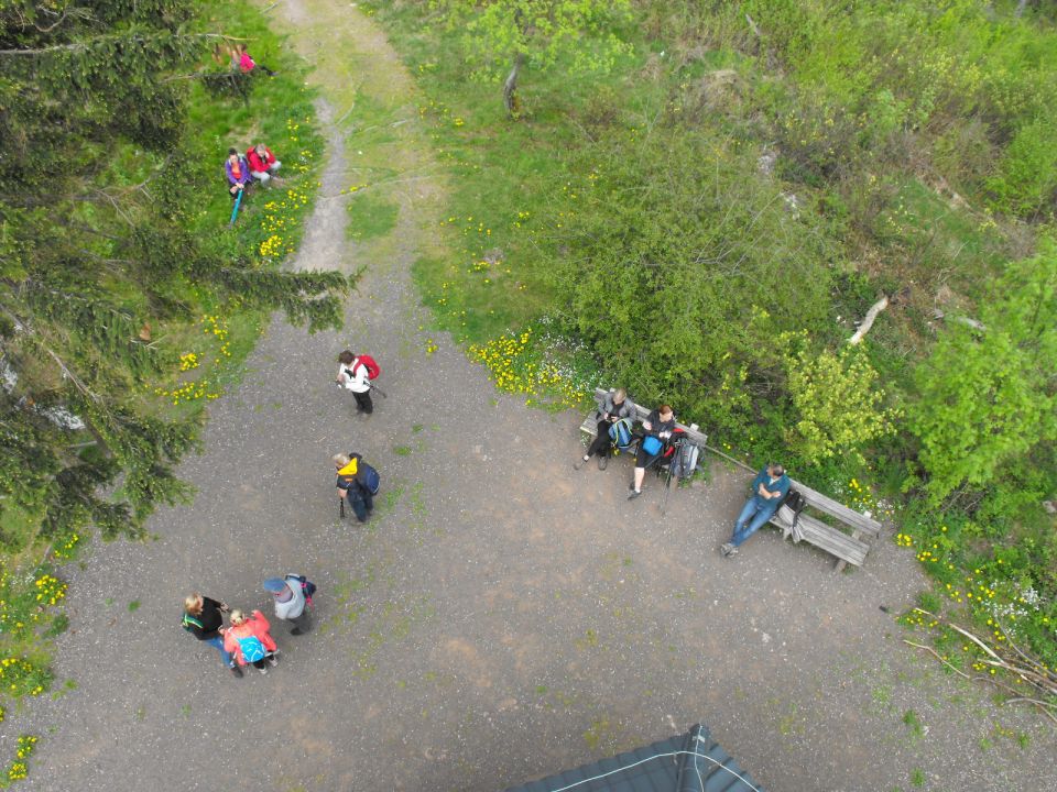 Włodzicka Góra - Wzgórza Włodzickie s003 - PTTK Strzelin