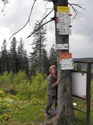 Włodzicka Góra - Wzgórza Włodzickie s12 - PTTK Strzelin