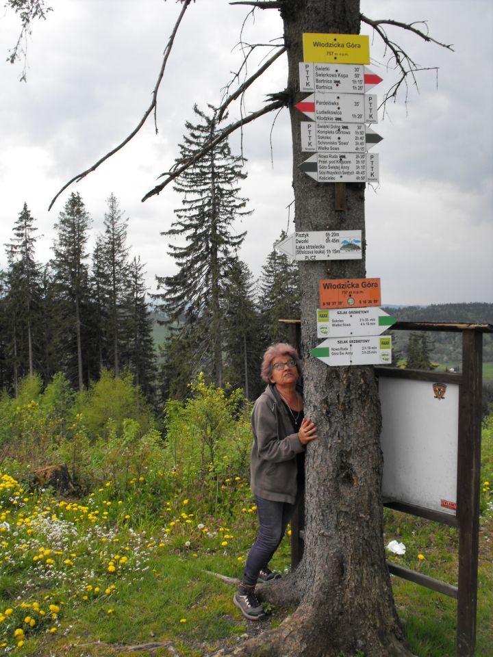 Włodzicka Góra - Wzgórza Włodzickie s003 - PTTK Strzelin