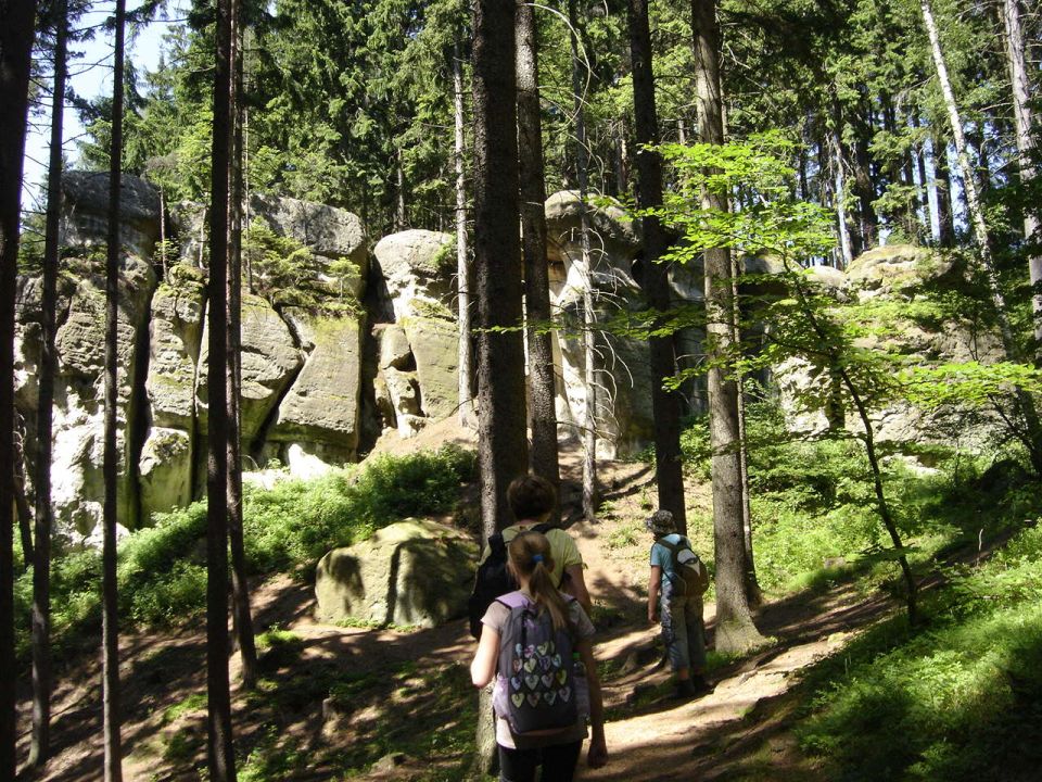 Wycieczka w Zawory s002 - PTTK Strzelin