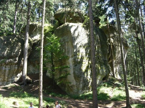 Wycieczka w Góry Sowie s27 - PTTK Strzelin