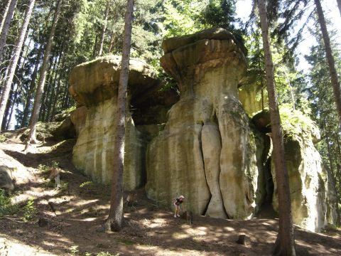 Wycieczka w Góry Sowie s28 - PTTK Strzelin