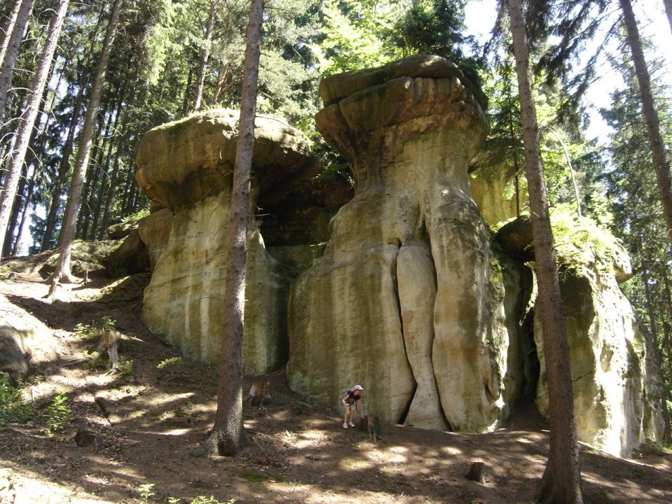 Wycieczka w Zawory s002 - PTTK Strzelin