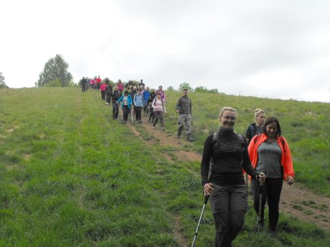 Wycieczka w Góry Sowie s33 - PTTK Strzelin