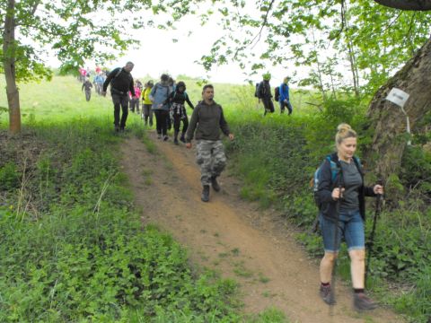 Wycieczka w Góry Sowie s34 - PTTK Strzelin