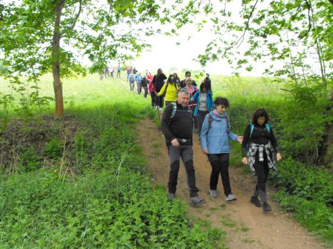 Wycieczka w Góry Sowie s35 - PTTK Strzelin