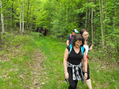 Wycieczka w Góry Sowie s38 - PTTK Strzelin