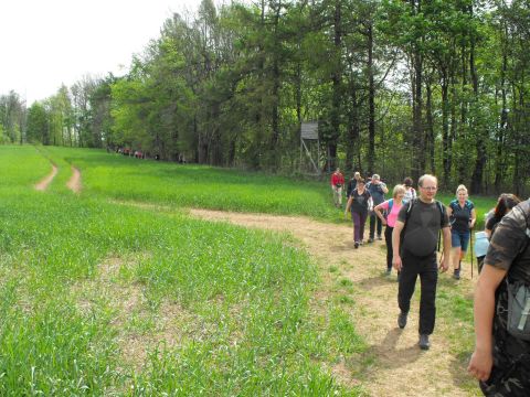 Wycieczka w Góry Sowie s39 - PTTK Strzelin