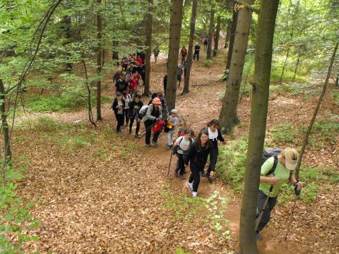 Wycieczka w Góry Sowie s52 - PTTK Strzelin