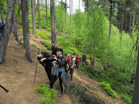 Wycieczka w Góry Sowie s54 - PTTK Strzelin