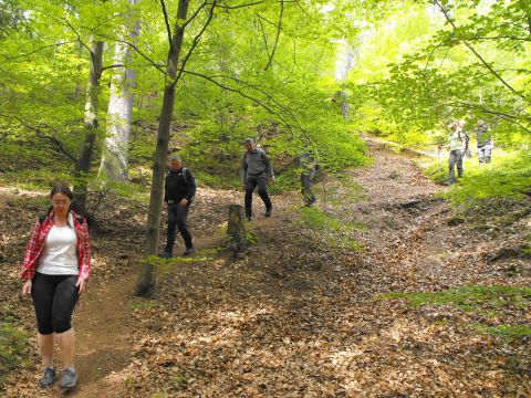 Wycieczka w Góry Sowie s70 - PTTK Strzelin