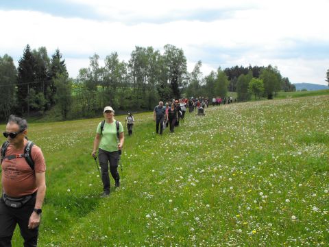 Wycieczka w Góry Sowie s76 - PTTK Strzelin