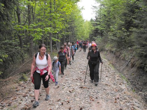 Wycieczka w Góry Sowie s79 - PTTK Strzelin