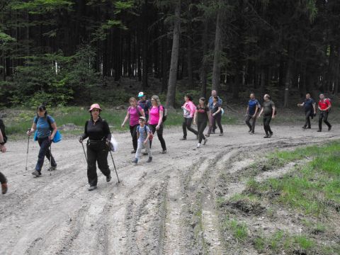 Wycieczka w Góry Sowie s80 - PTTK Strzelin