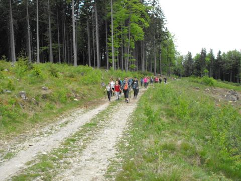 Wycieczka w Góry Sowie s86 - PTTK Strzelin