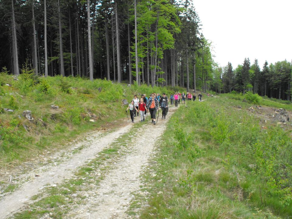 Wycieczka w Zawory s002 - PTTK Strzelin