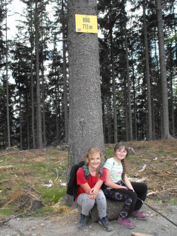 Wycieczka w Góry Sowie s89 - PTTK Strzelin