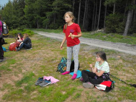 Wycieczka w Góry Sowie s96 - PTTK Strzelin