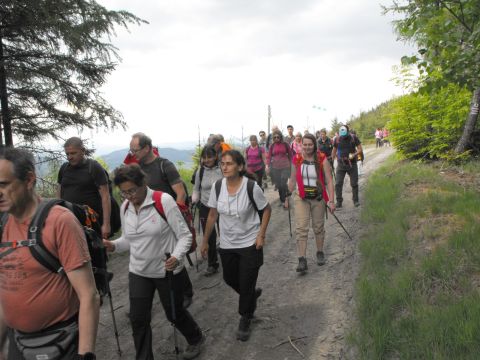 Wycieczka w Góry Sowie s98 - PTTK Strzelin