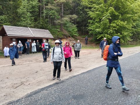 Wycieczka w Góry Sowie s100 - PTTK Strzelin